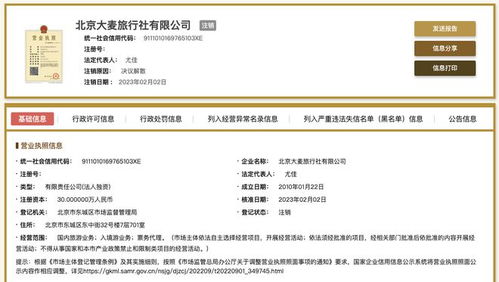 北京大麥旅行社注銷 旅客票務代理市場變動與行業(yè)啟示